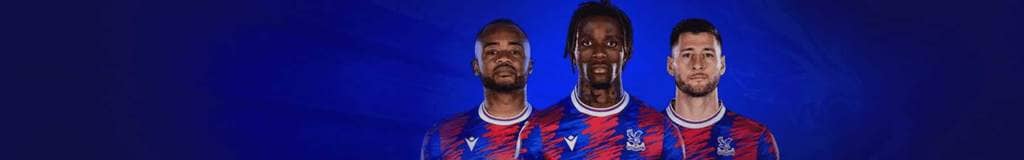 sudoku skyscraper technique
